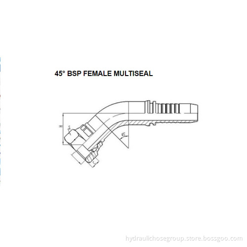 45° BSP Female Mutiseal 22141